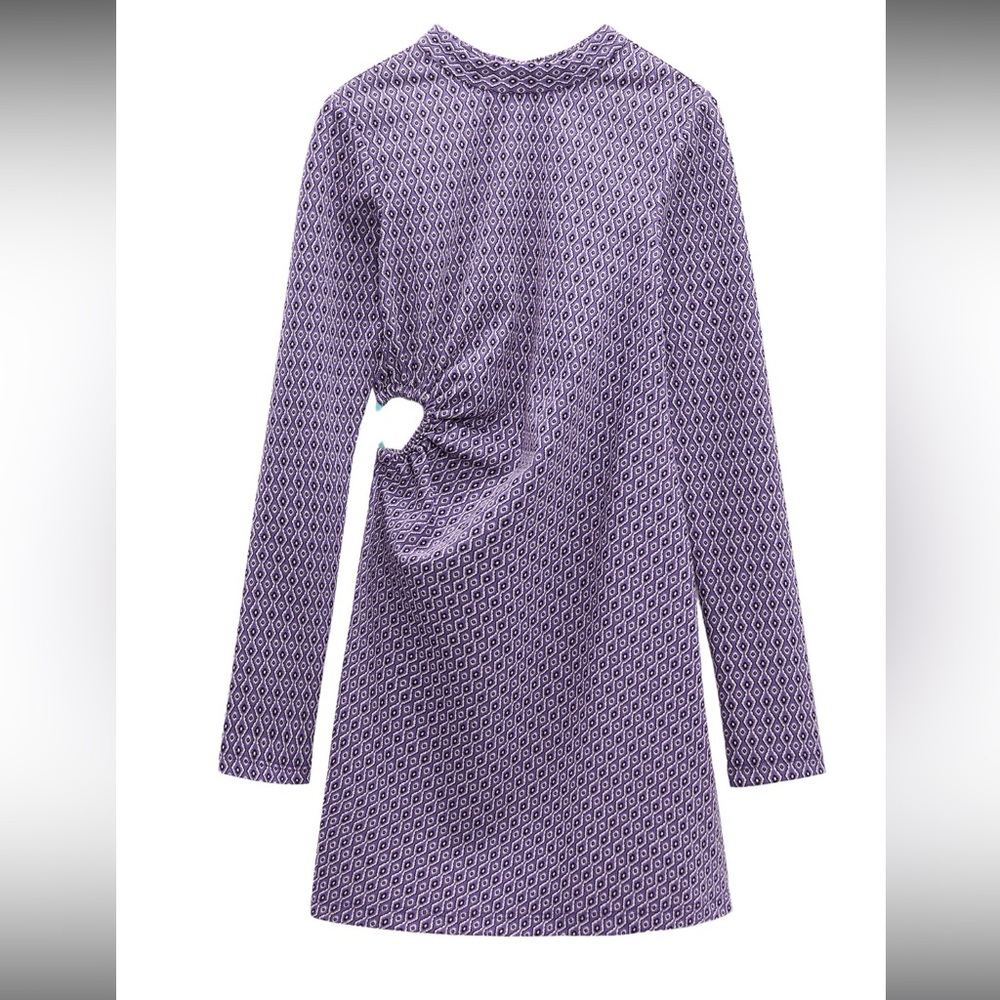 Zara Purple Long Sleeve Dress